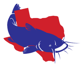 Catfish Image